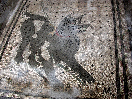cave canem mosaic pompeii, house of the tragic poet pompeii