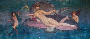 pompeii venus in the shell image, pompeii venus photo, venus in the shell fresco
