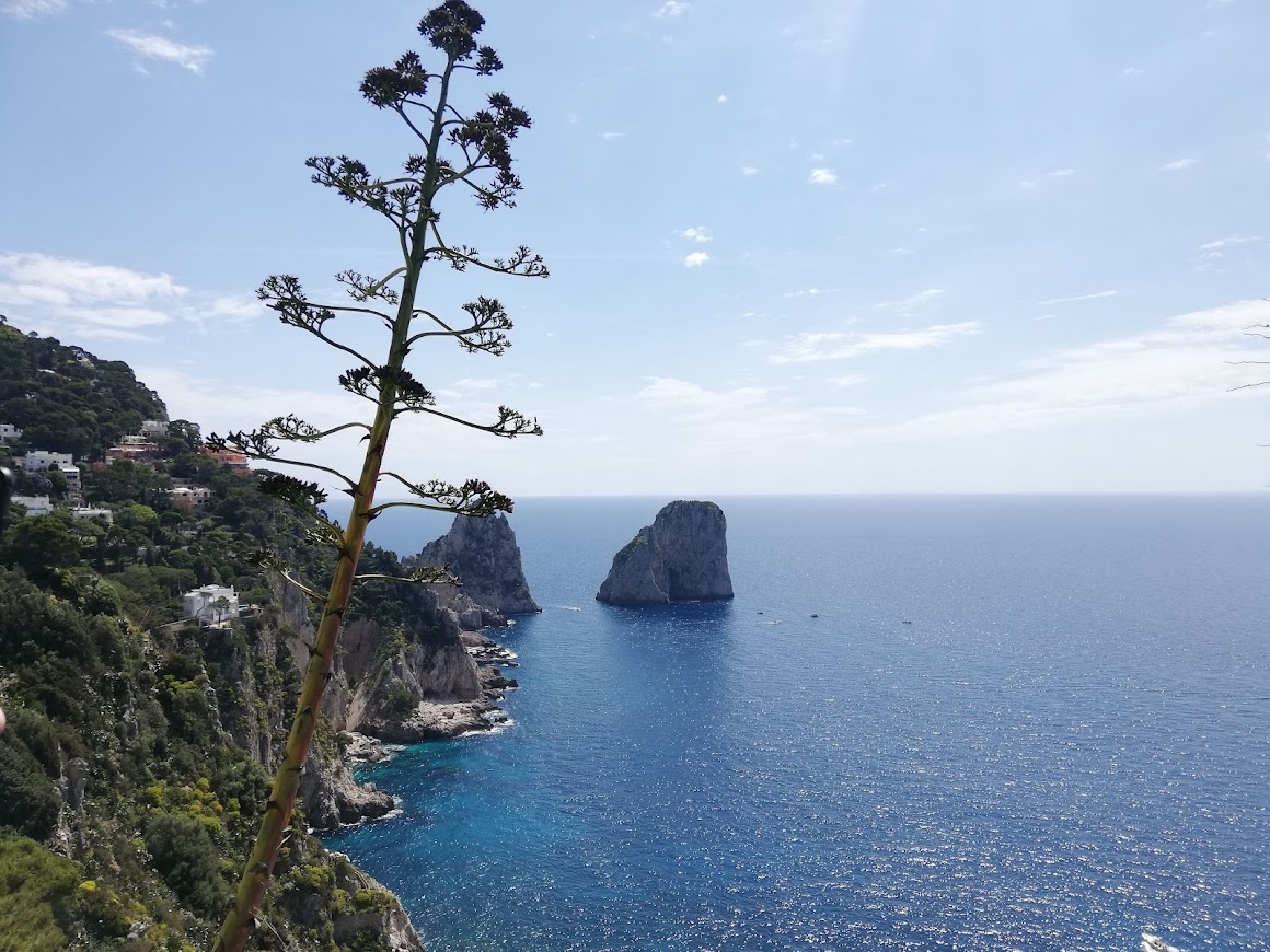 capri faraglioni