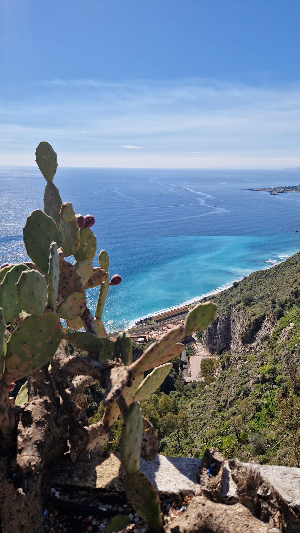 taormina_cacti