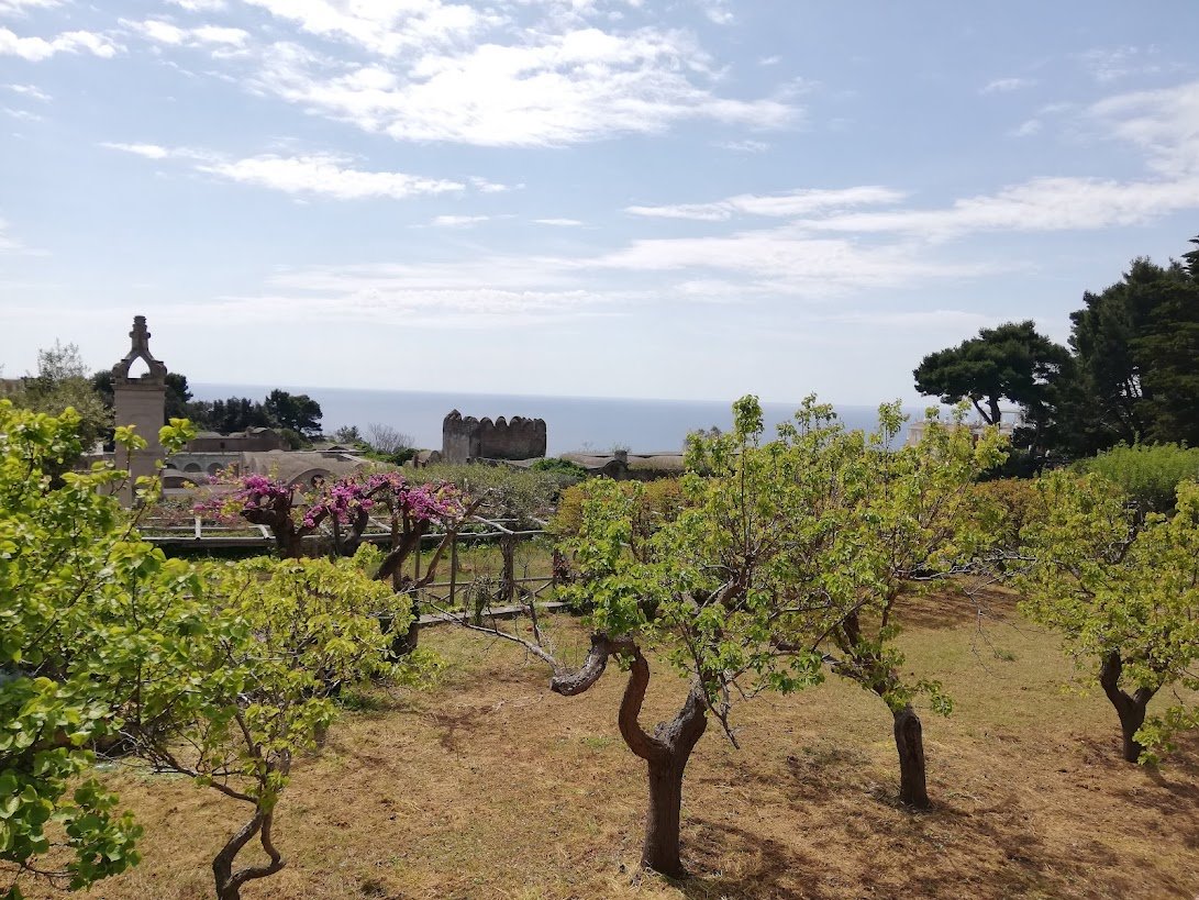 certosa san giacomo in capri town