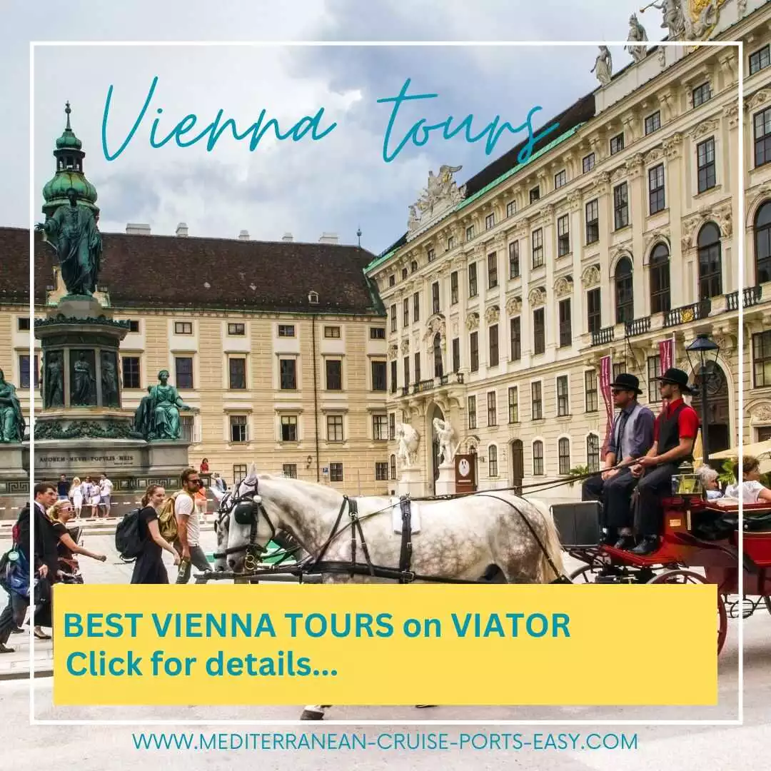 vienna banner