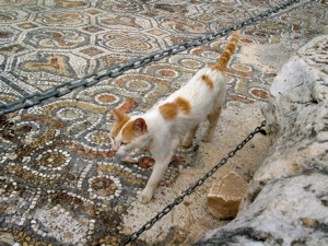 ephesus detail image, ephesus detail photo, ephesus detail picture